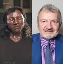 Petrified tree stump found in Wilkes-Barre coal mines