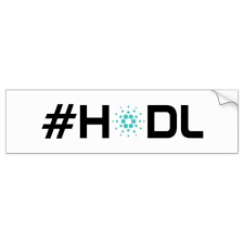 Hodl Cardano Ada Bumper Sticker Diy Cyo Customize Create Your Own Personalize Bumper Stickers Stickers Custom Diy Stickers