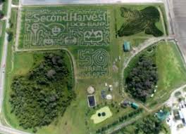 A Must Do! Scott's Corn Maze Adventure At Long and Scott Farms