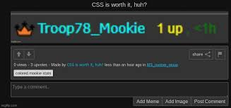 Ma statistics can be pursued full time only. Css Is Worth It Huh Imgflip
