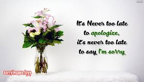 What matters is you can move on, you can grow, you can do. It S Never Too Late To Apologize It S Never Too Late To Say I M Sorry Sorryimages Love