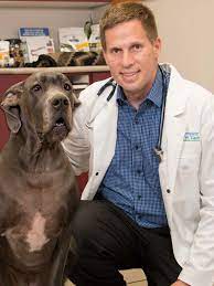 Pet odors inside vehicles can be even stronger because of the smaller, enclosed space. Dr Jared Conley Complete Pet Care Animal Hospital