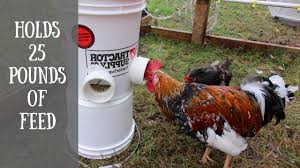 Which will easily feed the chickens so they will be healthy and will produce extra chicken meat. Diy Automatic Chicken Feeder Easiest Way To Feed Your Chickens With A 5 Gallon Bucket Youtube