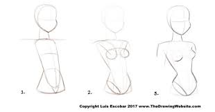 And in an amusing case of i knew it! Cartoon Body Formulas The Drawing Website