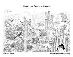 Maybe you would like to learn more about one of these? Desert Coloring Page Coloring Home