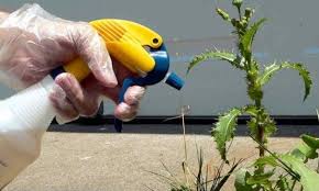 Faire Son Desherbant Naturel Pour Le Jardin Desherbant Naturel Trucs Et Astuces Jardinage Jardins