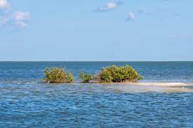 Check spelling or type a new query. 11 Fun Things To Do In Rockport Tx Lone Star Travel Guide