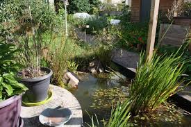 Cette série de vidéos s'appelle : L Extraordinaire Productivite D Un Petit Potager De 50 M2 Un Exemple Pour Nourrir La Ville De Demain Basta