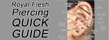 Piercing Royal Flesh Tattoo And Piercing Chicago Tattoo Shops 773 975 9753