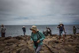 From here, we also offer day trips to the uninhabited islands of north seymour, bartolomé, south plazas and santa fe. Going To The Galapagos Is Easier And Cheaper Than Ever That Might Not Be A Good Thing The New York Times