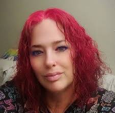 Experienced bullying of child with disability at Lemuel Teal Middle School?