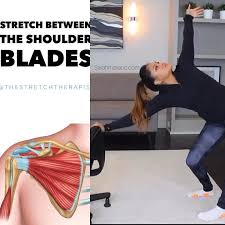 Tight Shoulder Blades Do This Video In 2020 Flexibility Workout Back Straightening Exercises Easy Workouts