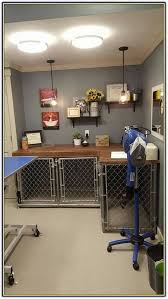 We did not find results for: 780 Dogs Ideas Dogs Diy Dog Stuff Diy Stuffed Animals