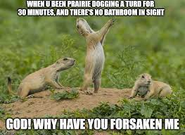 When U Been Prairie Dogging A Turd For 30 Minutes And There S No Bathroom In Sight Imgflip