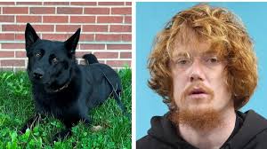 Heavy hearts': 15-year-old track athlete dies after collapsing during  practice