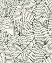 Aesthetic Black And White Palm Tree Wallpaper Pin On Wallpaper