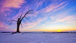 Aesthetic Landscape Wallpapers Top Free Aesthetic Landscape Backgrounds Wallpaperaccess These desktop backgrounds tagged with landscape are in most cases available for download at 5k, 4k and hd resolutions. aesthetic landscape wallpapers top