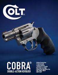 Image result for Grace Silver 1993 Colt