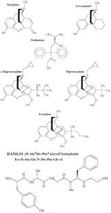 Check spelling or type a new query. Differential Opioid Agonist Regulation Of The Mouse M Opioid Receptor Journal Of Biological Chemistry