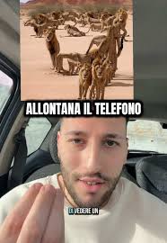 Illusione Ottica di Gesù: Scopri il Volto Nascosto