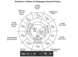 It will certainly ease you to look guide beaks of finches lab answers as you such as. Which Statement Is A Basic Assumption From The Beaks Of Finches Lab 1 The Type Of Beak Indicates Brainly Com