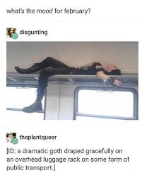 One day we were like hey wanna make a meme page? and here we are. Pin On Lol