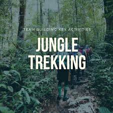 We are in merapoh trekking through jungles, camping in the wilderness and exploring scary caves. Jungle Trekking Adventure In Malaysia 2019 Team Building Selangor Malaysia Kuala Lumpur Kl Shah Alam Training