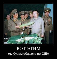 вот этим мы будем ебашить по США / Северная Корея :: демотиватор / смешные  картинки и другие приколы: комиксы, гиф анимация, видео, лучший  интеллектуальный юмор.