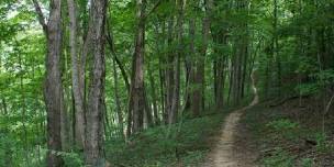 Dirt Days Trail Series - East Fork SP Trail Run