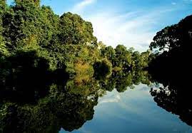 images?q=tbn:ANd9GcSpW3Vi7h9_IRC8fBsYRVgWlHVsvR18EyThgQf7RMpEgcKdD7brz9_jiPiRwGp2V32s5jU&usqp=CAU