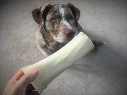 What Kind Of Bones Are Safe For Dogs Your Dog Advisor