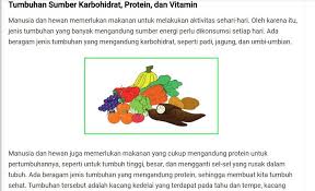 Berikut manfaat tumbuhan bagi makhluk hidup. Gabungkan Kesimpulan 1 2 Dan 3 Dalam Tulisanmu Gunakan Kata Baku Dan Penghubung Brainly Co Id