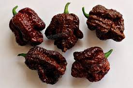 Large selection of hot sauce, bbq sauce, wings sauce & more. Apocalypse Chocolate Scorpion Hot Pepper Heirloom Tomato Seeds Tomatoeden Site