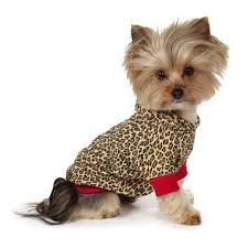 Robot Check Small Dog Coats Leopard Dog Yorkie