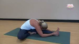 Head To Knee Pose Janu Sirsasana How To Do Youtube