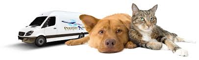 Pet travel, inc., the parent company of pet travel transport, has been in the business of assisting people traveling with pets safely since 1998. Pet Transport Companies Melbourne Australia Wide Transportation
