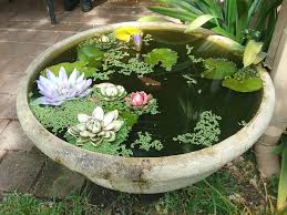 Peninsula Flourish Garden Design Maintenance Flourish Don T Toil