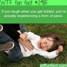 Pin On Fun Facts