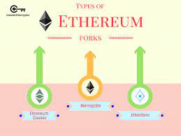 Pin On Crypto Categories Infographics