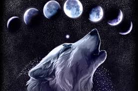 Animal sculptures lion sculpture wolf children wolf wallpaper tumblr backgrounds anime wolf anime animals anime angel anime sketch. 43 Cool Black Wolf Wallpaper On Wallpapersafari
