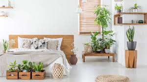 Whether you use imported hydroponic plants or the ones that need soil from when considering plants for interiors, the first thing to check is the shape, size and growth of the. The Best Indoor Plants And Where To Get Them