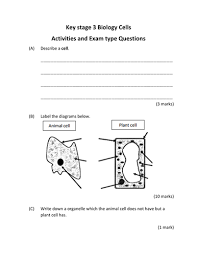 Check spelling or type a new query. Key Stage 3 Science Biology Cells Full Study Bundle For Teachers And Students Teaching Resources
