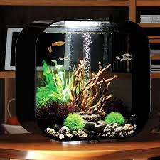 Karena disini saya menyajikan tutorial dari membuat aquarium yg unik. 10 Desain Aquarium Unik Untuk Hiasan Rumah Minimalis