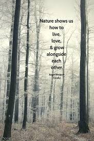 Nature Quotes For The Wandering Soul Mother Nature Quotes Nature Quotes Nature Quotes Inspirational