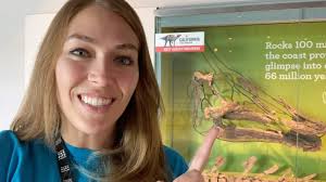 Meet California's State Dinosaur!