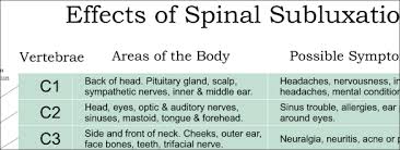 ans and effects of spinal subluxation chart 18 x 24