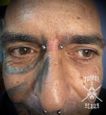 Bridge . 12g (2mm) straight bar bell with a length of 12mm and 4mm balls,  pierced at a length of 10mm . 0484181356,0401852562