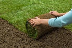 As it consumes the nutrients in the soil, the grass will grow larger and larger. How To Care For Bermuda Grass