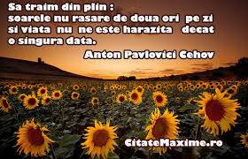 Daca cunosti mesaje deosebite cu ocazia zilei de nastere,nu ezista sa scrii in comentarii iar eu il voi adauga in articol. Sa Traim Din Plin Soarele Nu Rasare De Doua Ori Pe Zi Si Viata Nu Ne Este Harazita Dacat O Singura Data Citate Maxime