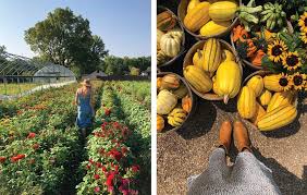 Top springfield parks & nature attractions: Where To Find Pumpkins And Fall Produce In Springfield Mo